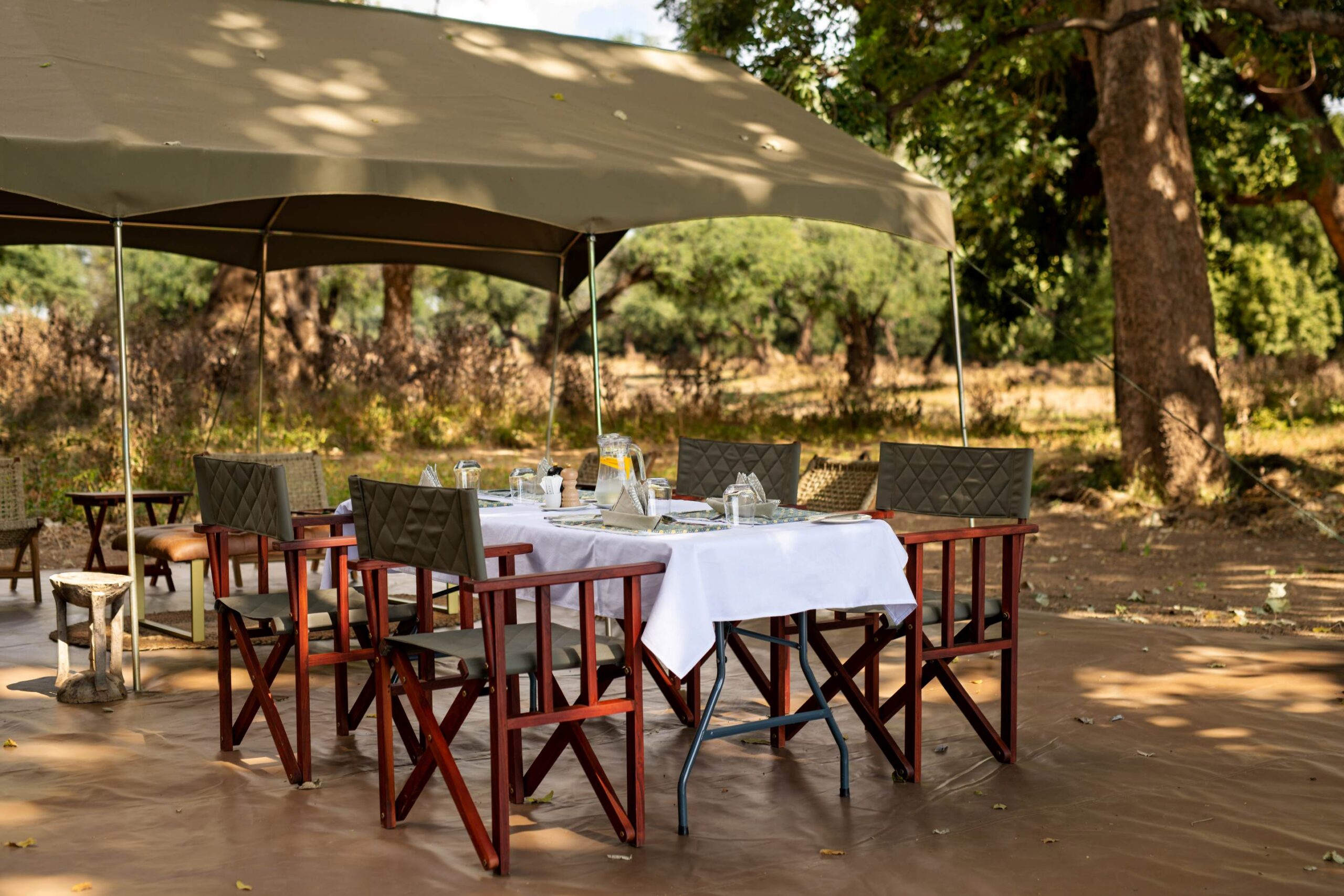 safari_camp_directors_chairs_mana_pools Safari camp director's chairs at a safari camp in Mana Pools
