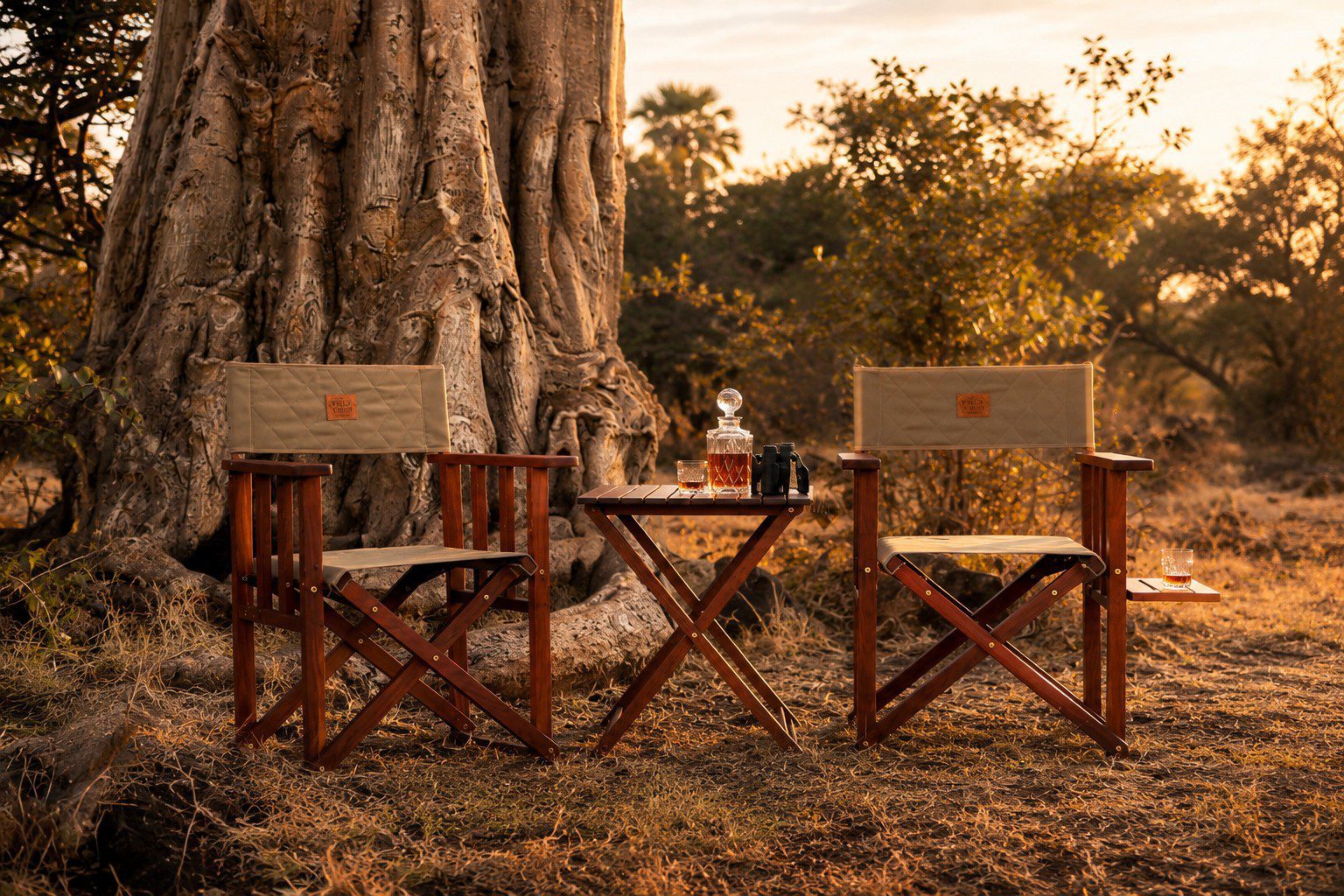 Classic Safari Director's Chairs in the bush underneath a baobab tree in the afternoon light Classic Safari Director's Chairs beneath a baobab tree in the late afternoon light